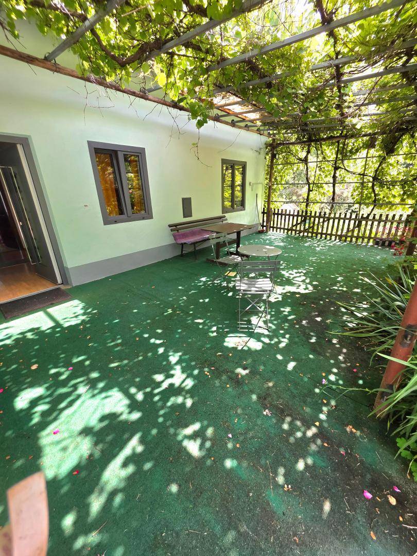 Überdachte Terrasse mit grünem Bodenbelag, Tisch und Stühlen, beschattet von üppigen Weinreben.
