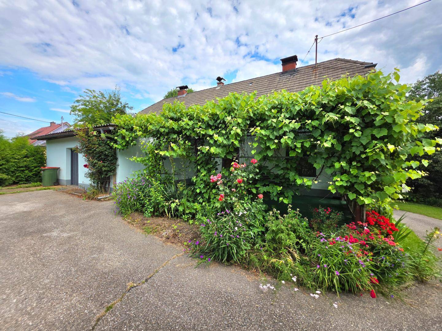 Seitenansicht des Hauses mit einer großen, von Weinreben bewachsenen Pergola und blühenden Pflanzen am Wegrand.