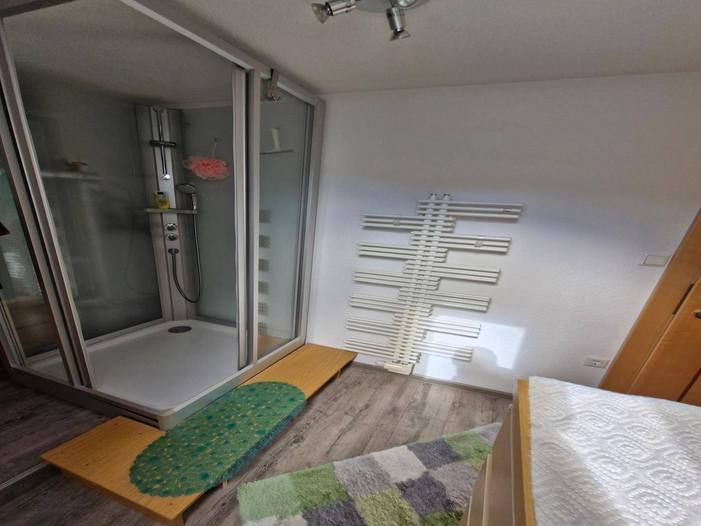 Badezimmer mit moderner Duschkabine, Handtuchheizkörper und Holzboden in einem gepflegten Zustand.