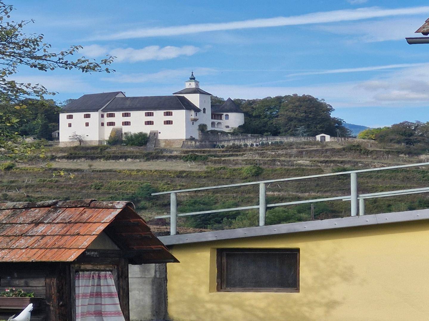 Fernblick auf ein imposantes weißes Schloss auf einem Hügel, umgeben von Weinbergen.