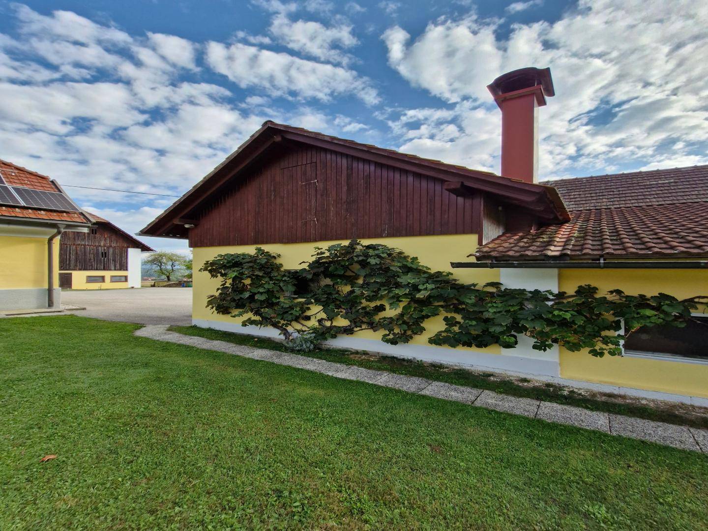 Detailansicht einer Gebäudeecke mit Kletterpflanzen und einem markanten roten Schornstein.