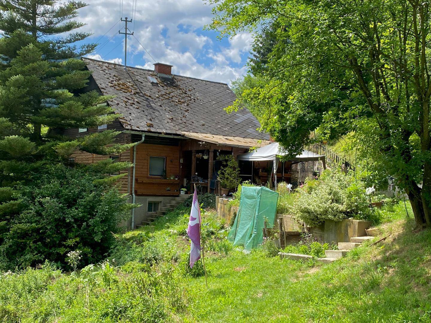 Hausfassade mit Holzverkleidung und einer überdachten Terrasse, umgeben von einem grünen Gartenbereich.