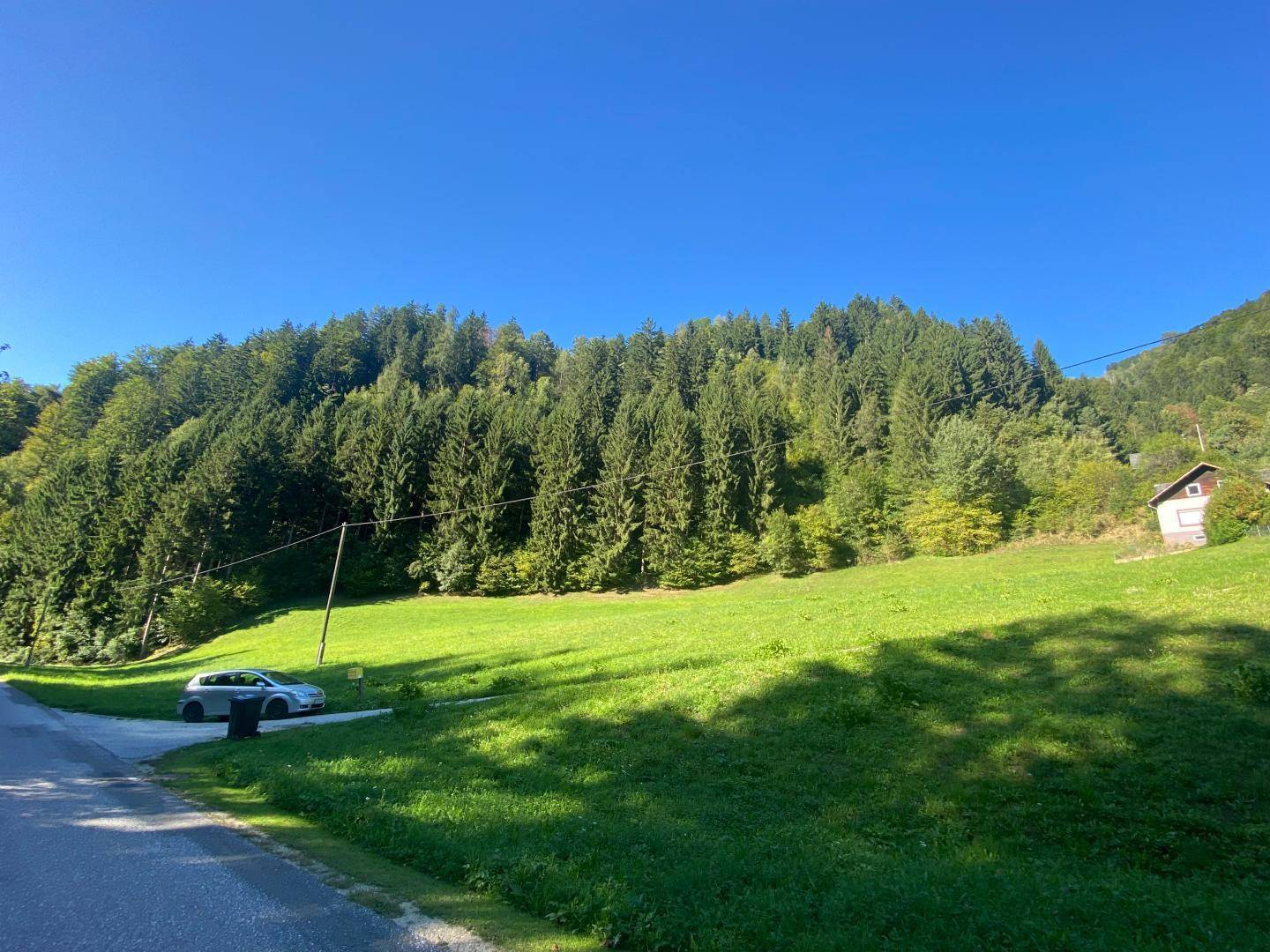 Grüne Wiesen und dichte Wälder prägen die Landschaft mit einem geparkten Auto am Straßenrand.