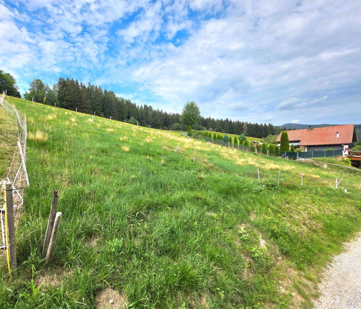 Idyllisches grünes Grundstück mit leichter Neigung, umgeben von Bäumen und einem Haus in der Ferne.