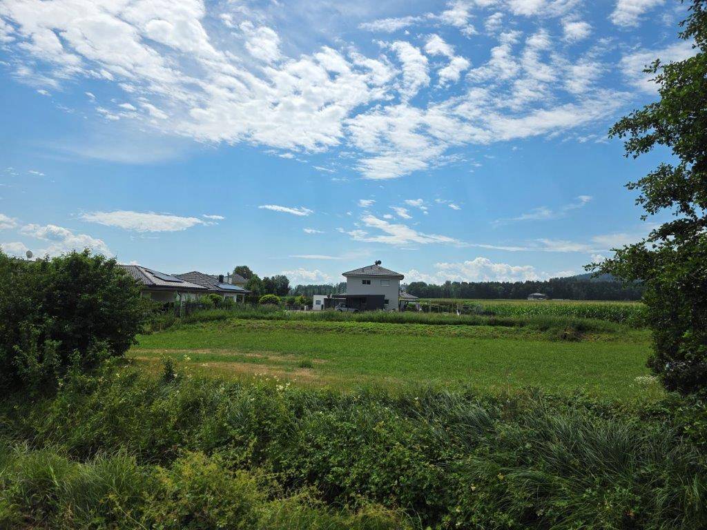 Weitläufiges grünes Feld mit Wohnhäusern im Hintergrund und blauem Himmel.