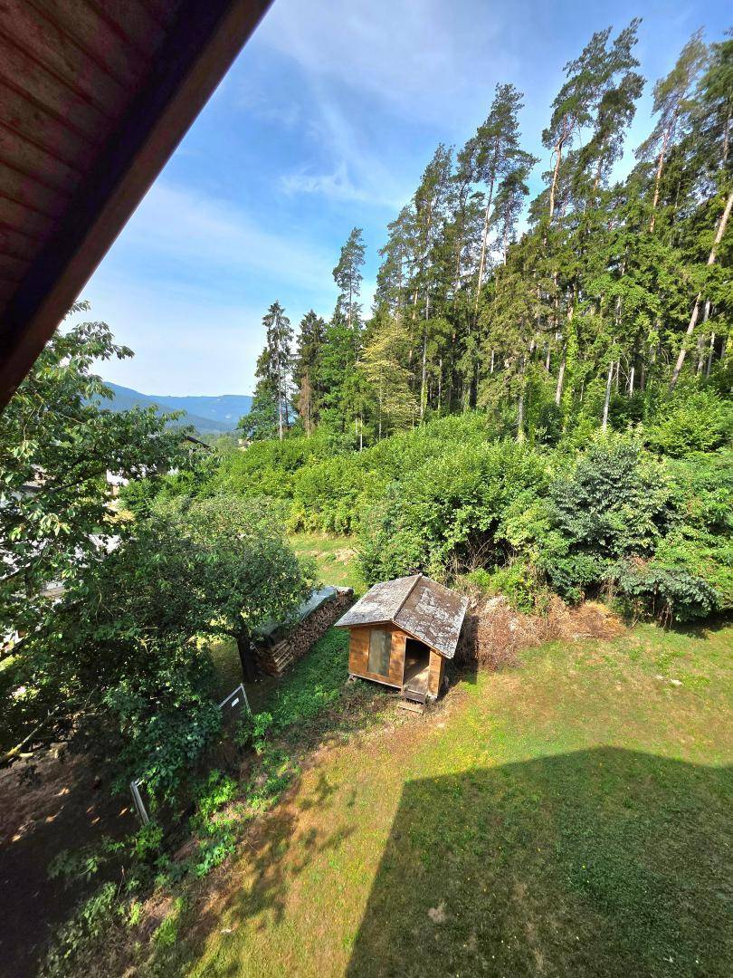 Großer Gartenbereich mit Rasenfläche, Baumbestand und einem kleinen Holzschuppen im Grünen.