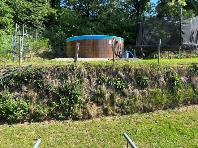 Gartenbereich mit einem Aufstellpool und einem Trampolin im Hintergrund, umgeben von Grün.