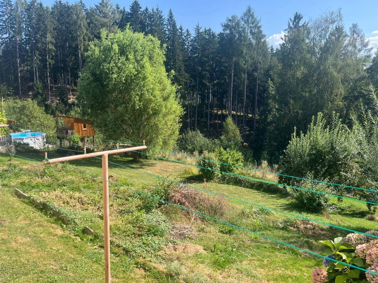 Weitläufiger Gartenbereich mit üppiger Vegetation, Bäumen und einem kleinen Pool im Hintergrund.