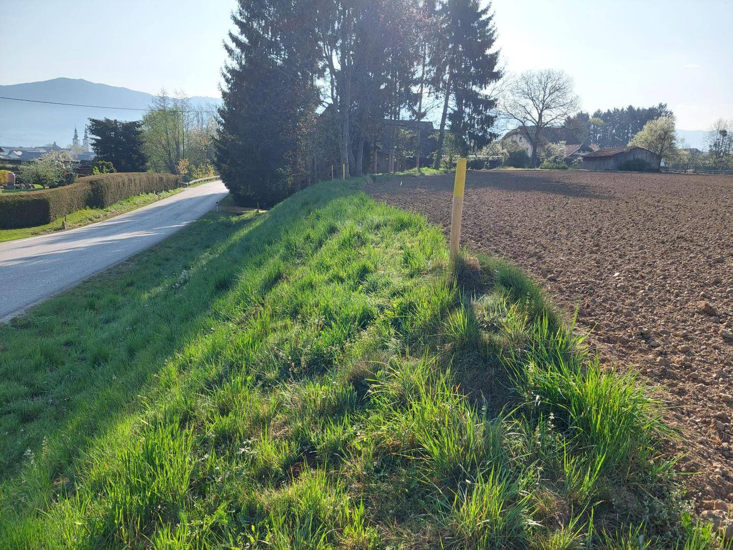 Grüner Grashang neben einer Landstraße, angrenzend an ein gepflügtes Feld mit Bäumen und Häusern im Hintergrund.