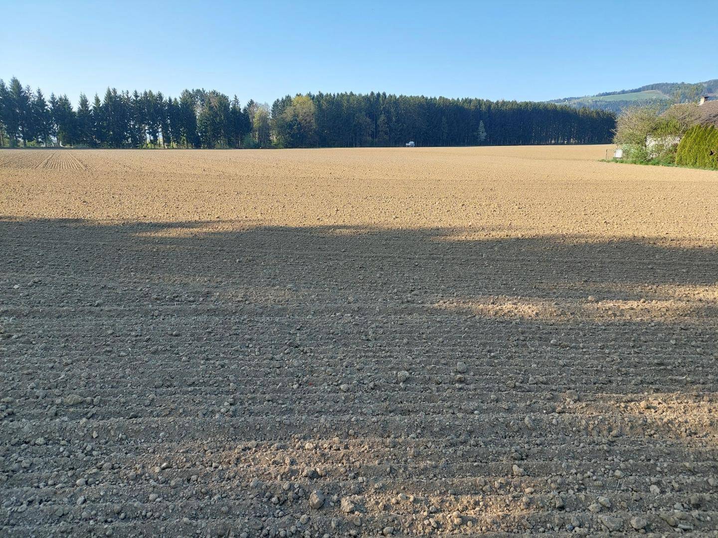 Ausgedehntes, frisch bearbeitetes Feld mit Waldrand in der Ferne und einem Haus am Horizont.