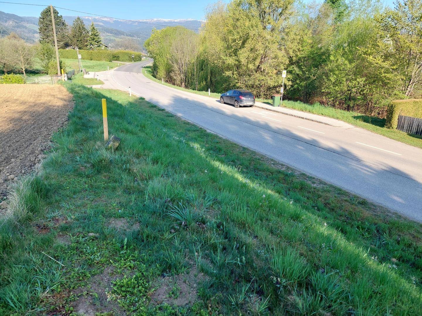 Landstraße schlängelt sich durch eine grüne Landschaft mit Bäumen und einem geparkten Auto am Straßenrand.
