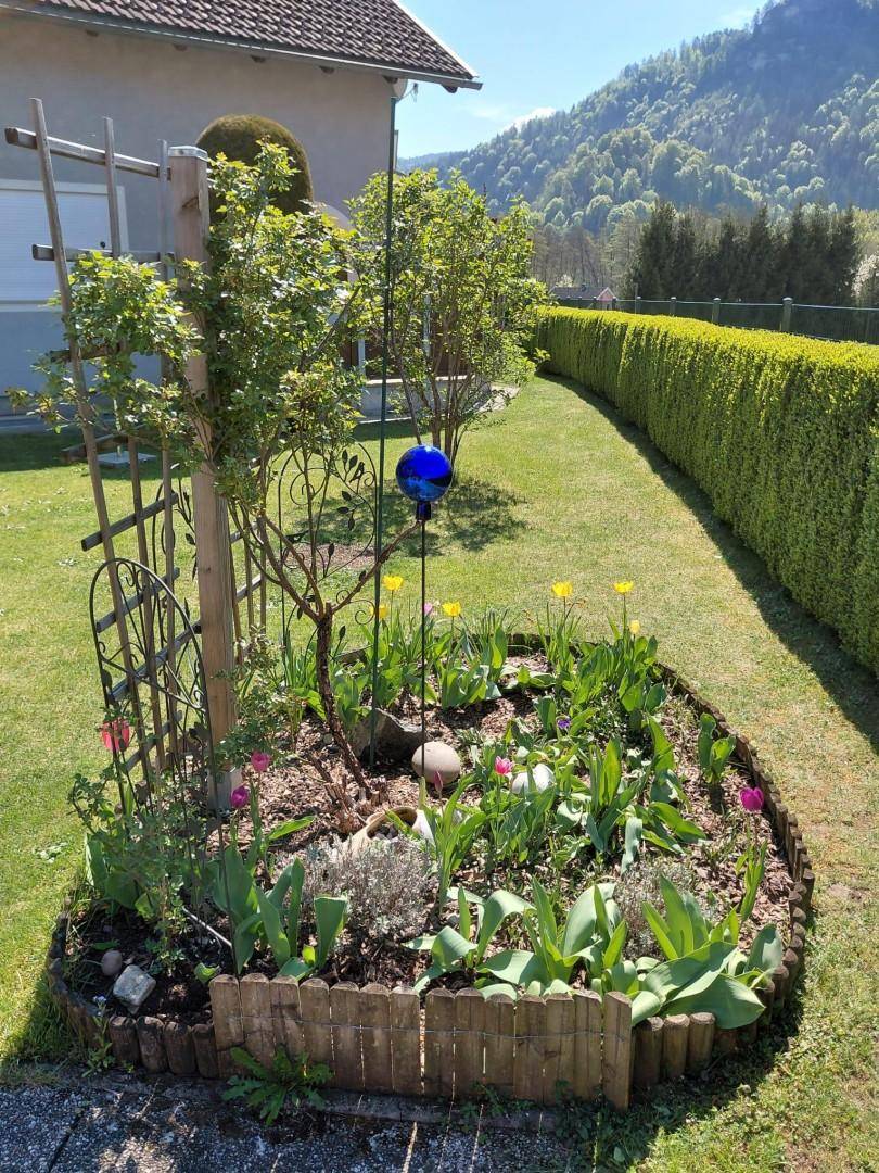 Gepflegtes Blumenbeet mit verschiedenen Pflanzen und Tulpen im grünen Garten.