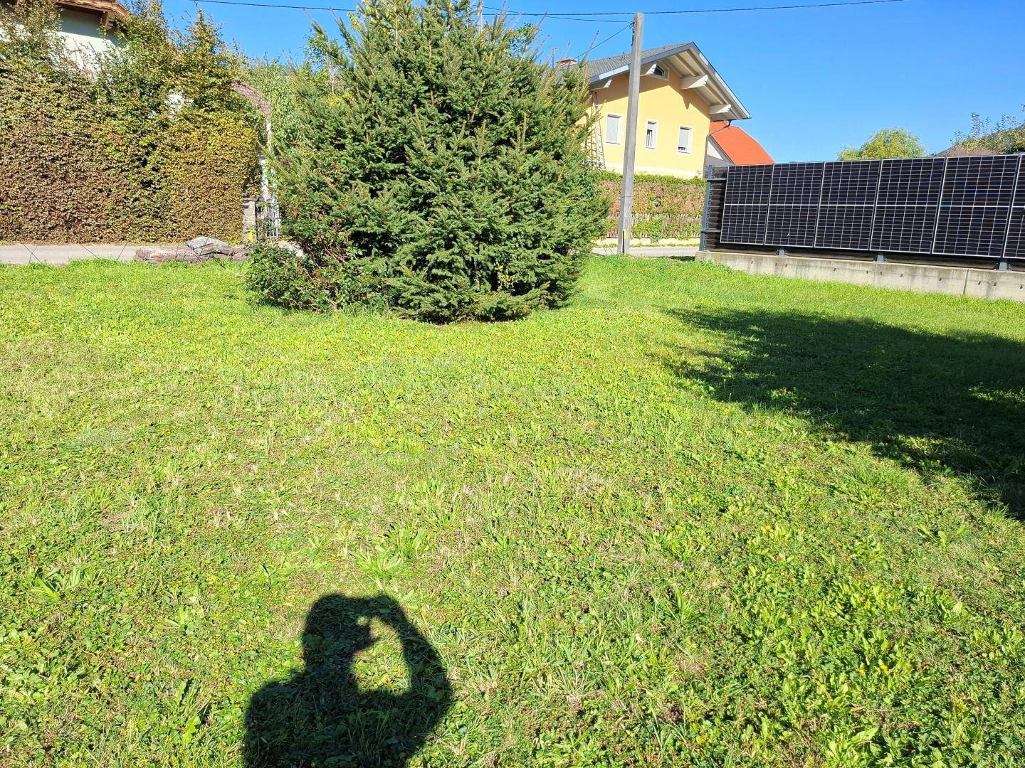Sonnige Rasenfläche mit einem großen Busch, einem Haus und Solarmodulen im Hintergrund.