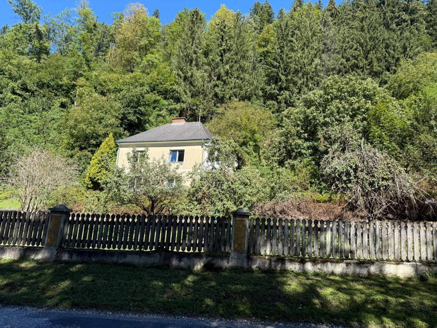 Ansicht des Hauses von der Straße, umgeben von üppiger Vegetation und Wald.
