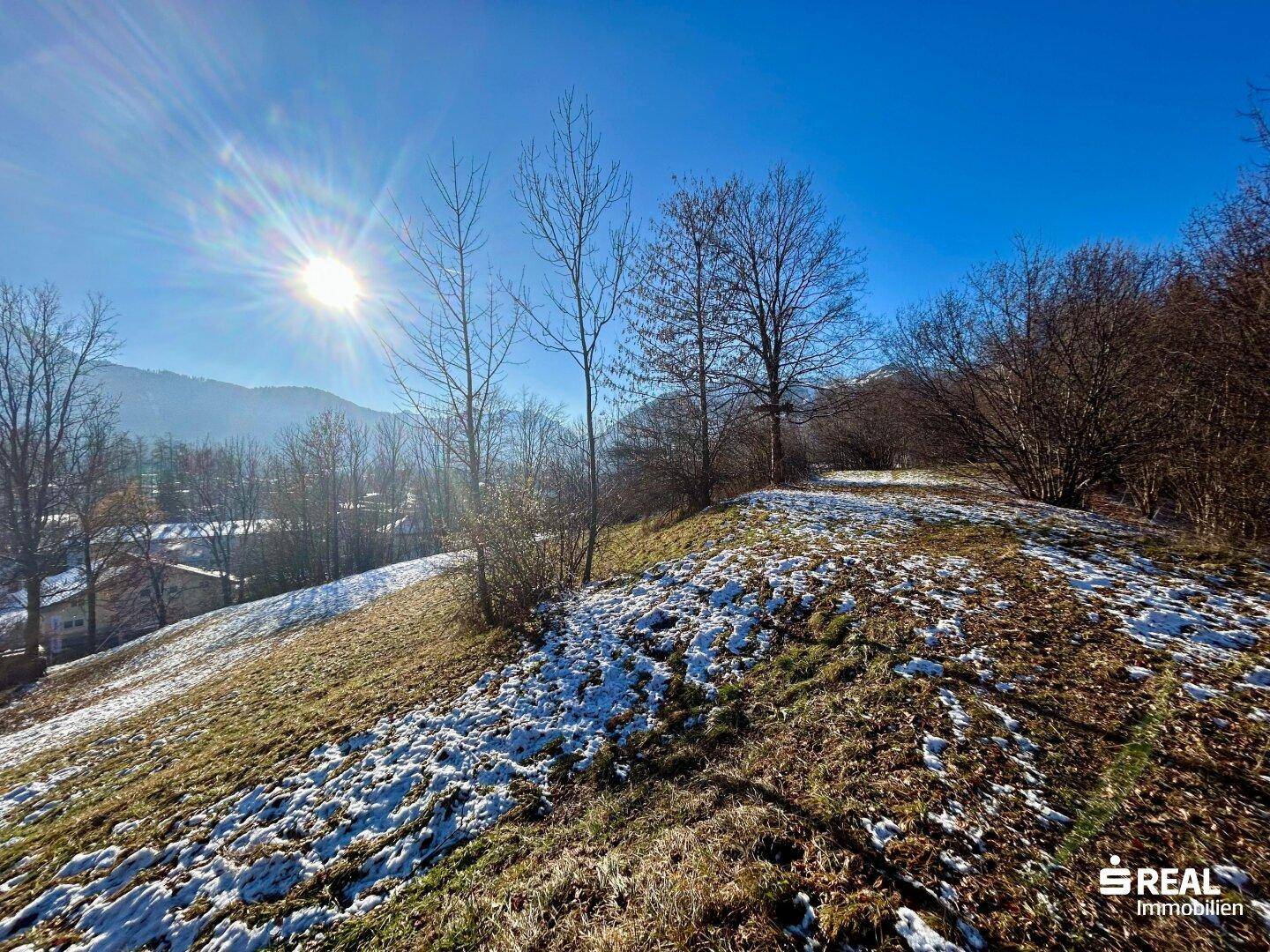 Sonniger Blick über einen teilweise schneebedeckten Hügel mit kahlen Bäumen und weitem Horizont.