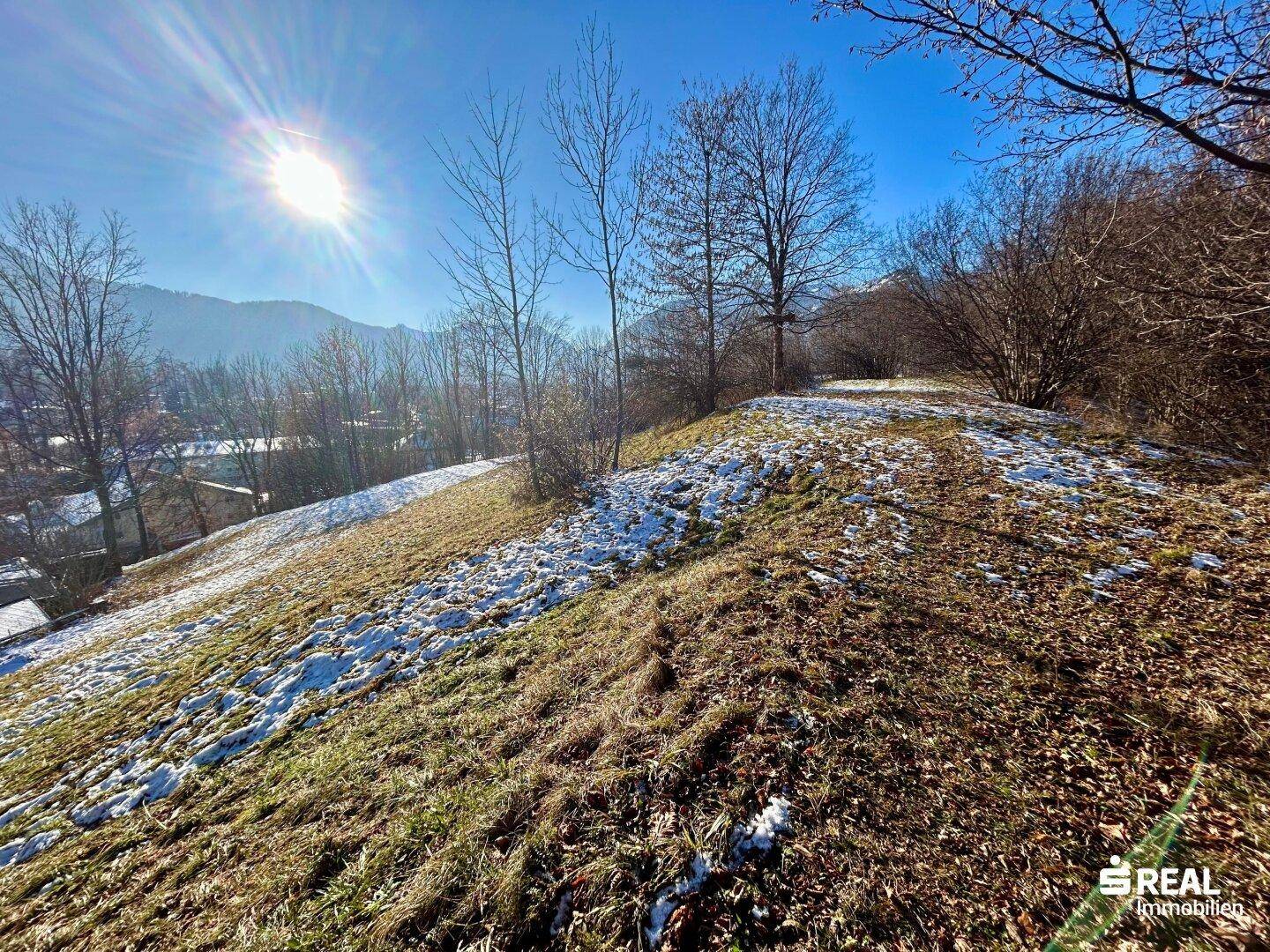Sonniger Blick über einen teilweise schneebedeckten Hügel mit kahlen Bäumen und weitem Horizont.