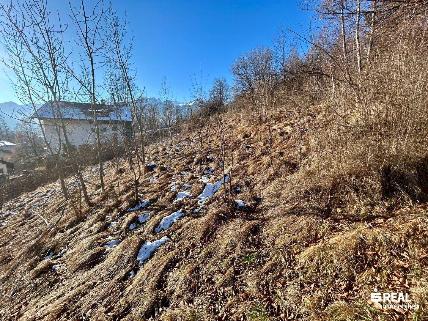 Blick auf einen steilen, teilweise schneebedeckten Hang mit trockenem Gras und kahlen Bäumen.