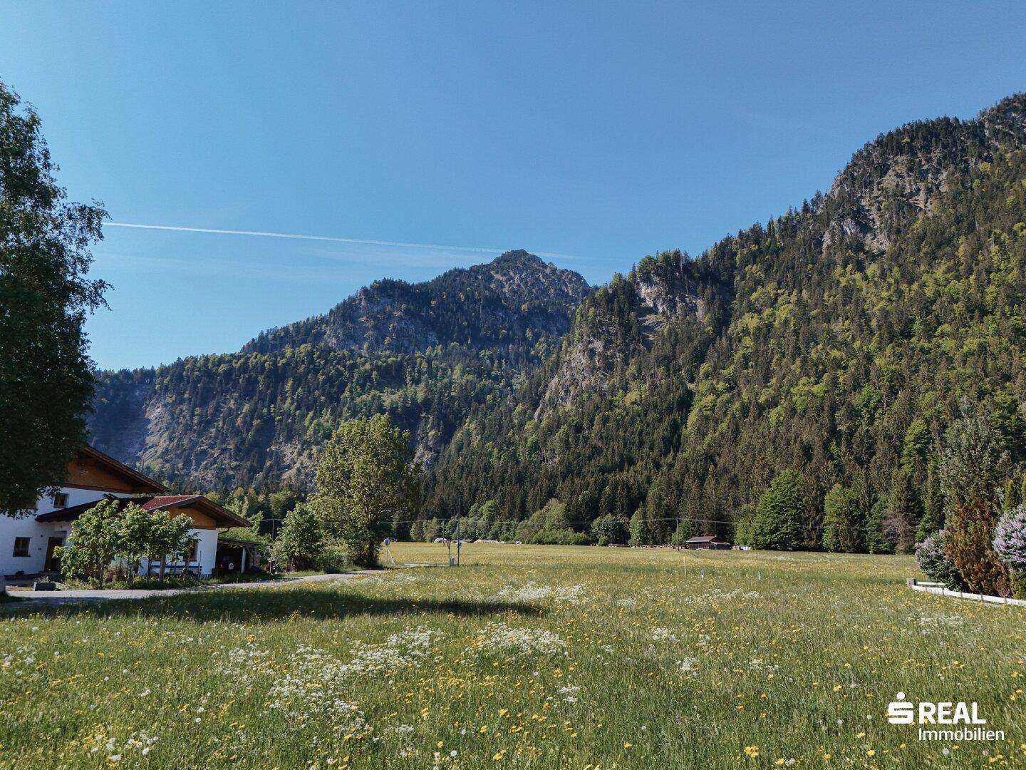 Malerische Berglandschaft mit weiten grünen Feldern und einem Haus am Waldrand unter klarem Himmel.