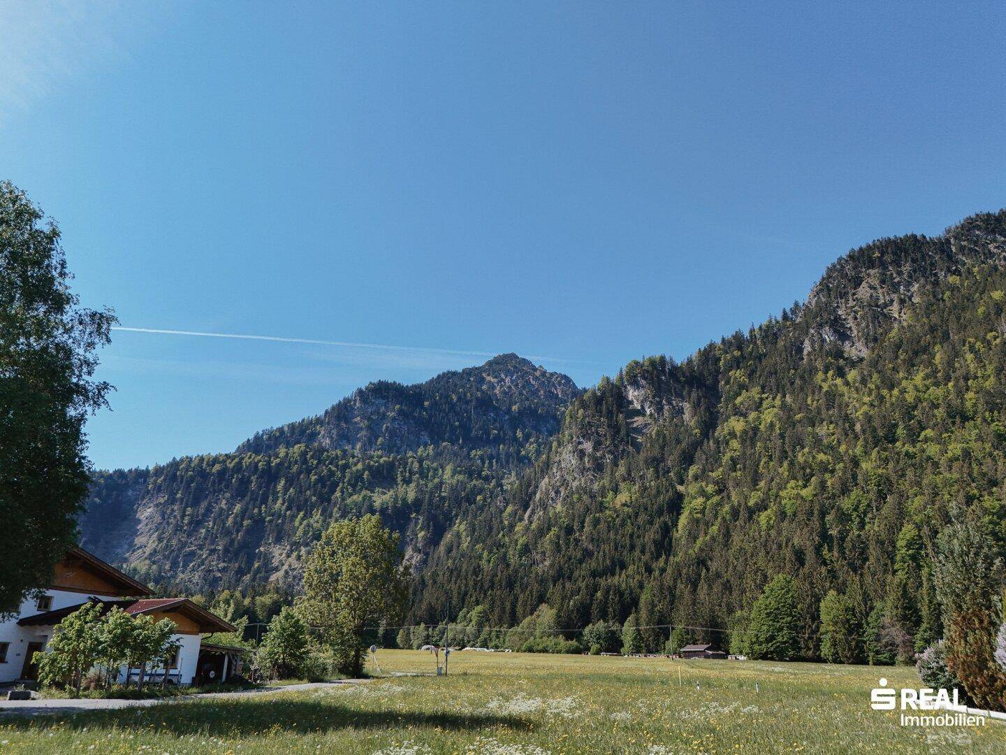 Beeindruckende Berglandschaft mit dichten Wäldern und weiten Blumenwiesen, die zum Wandern einladen.