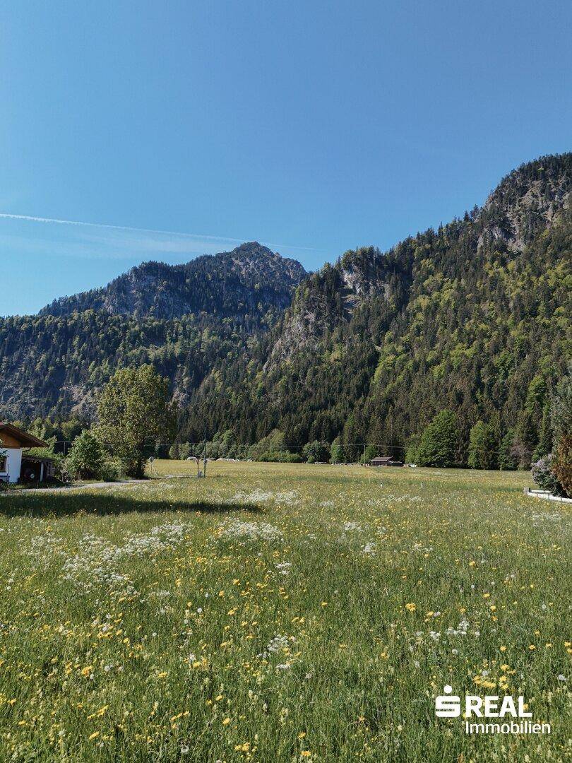 Weitläufige Naturlandschaft mit hohen Bergen, grünen Wäldern und blühenden Wiesen unter blauem Himmel.