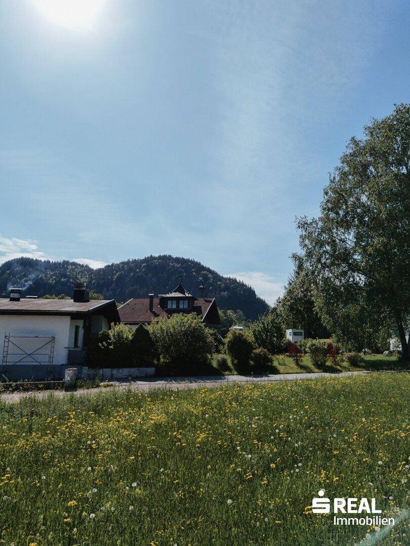 Weitläufige Landschaft mit grünen Wiesen, bewaldeten Hügeln und vereinzelten Häusern unter strahlendem Himmel.