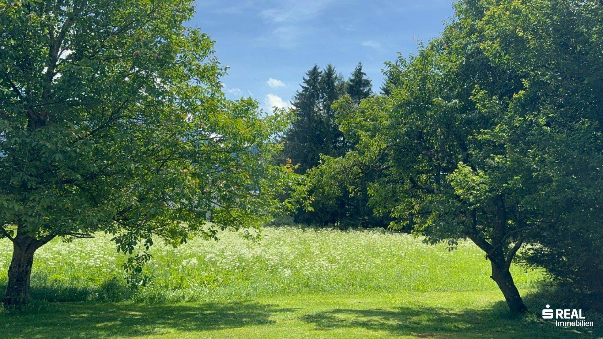 Slide 22