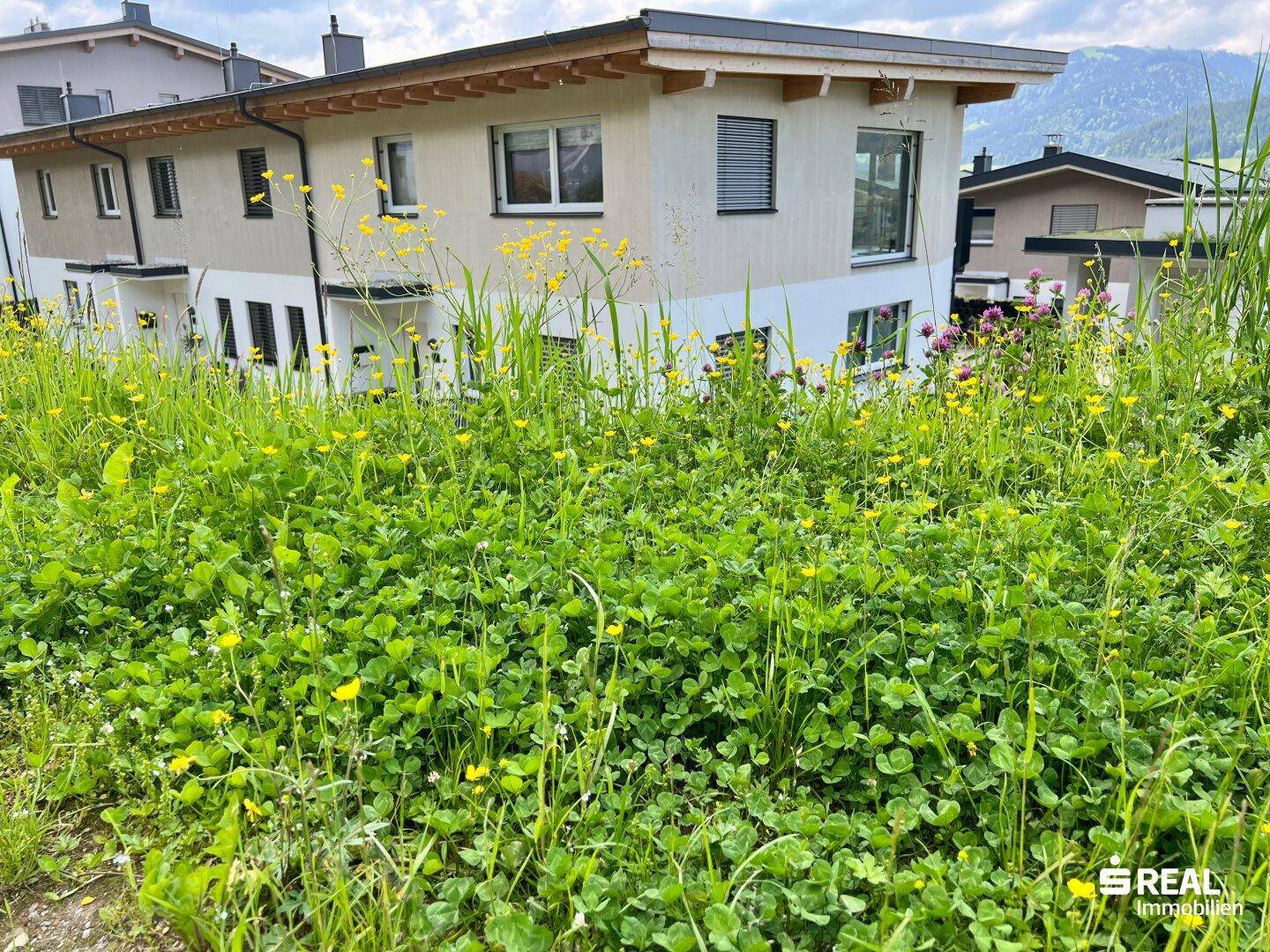 Haus in ländlicher Umgebung, umgeben von grünen Wiesen und blühenden Blumen.