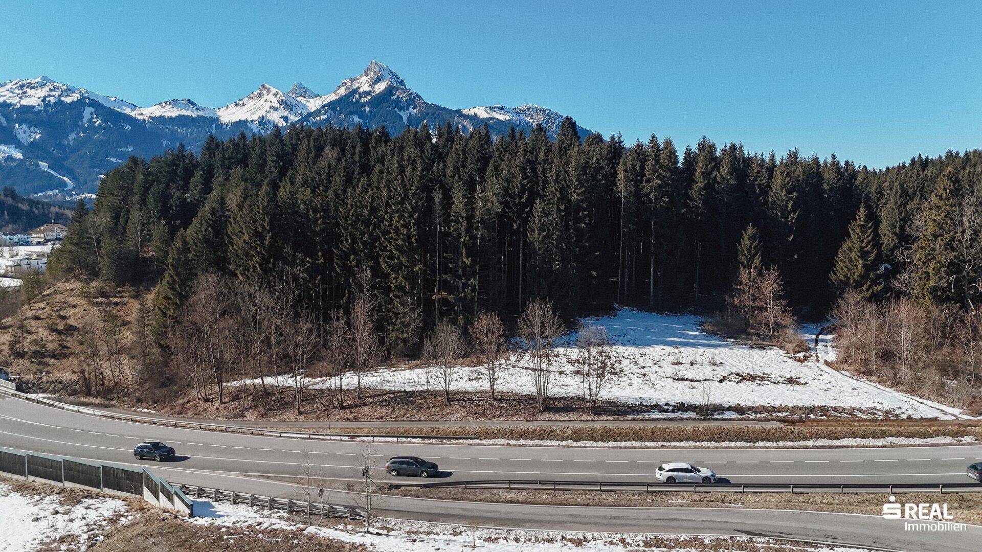 Straße führt durch eine bewaldete Gegend mit schneebedeckten Bergen unter klarem blauem Himmel.