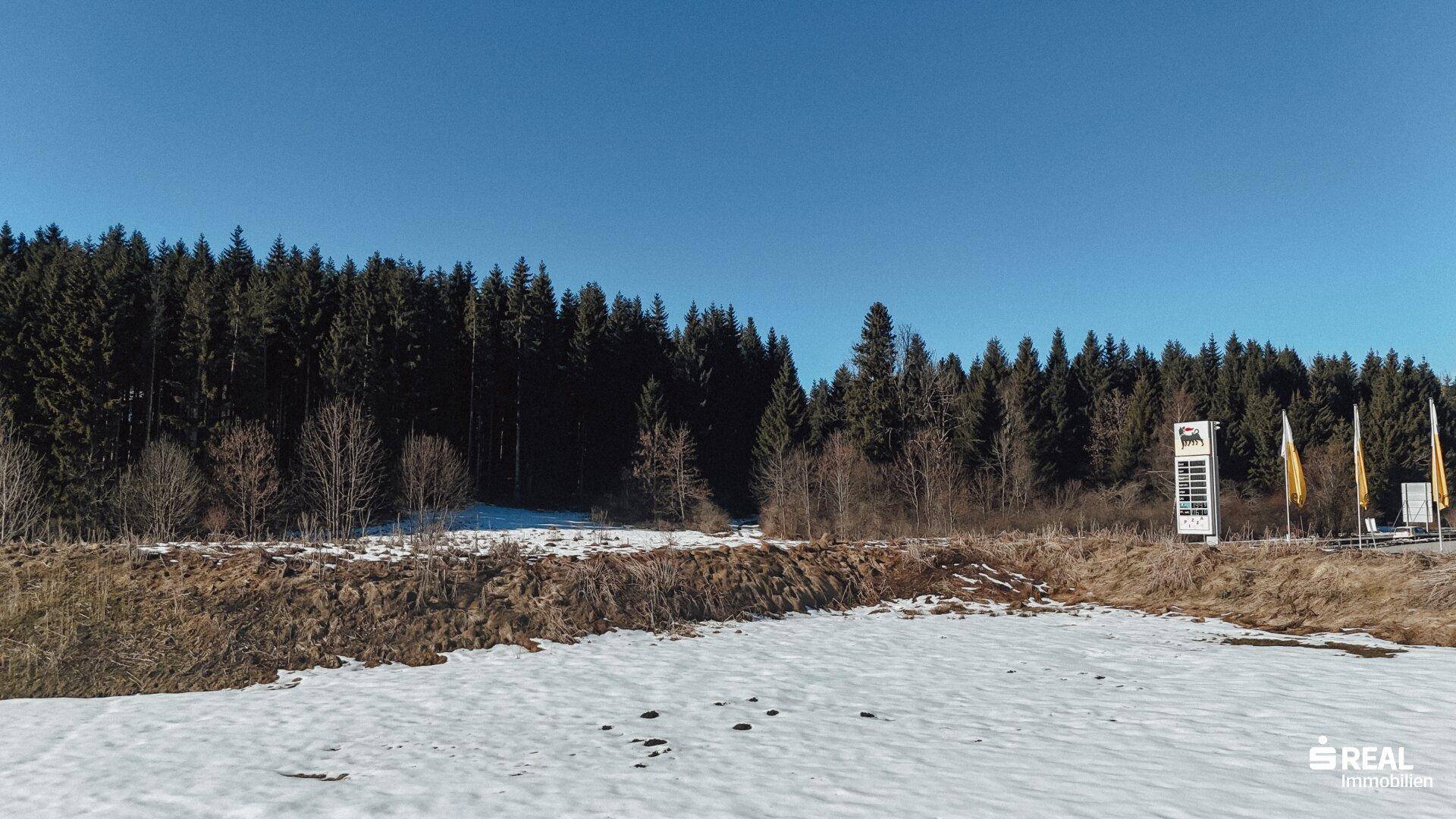 Verschneites Feld grenzt an einen dichten Wald mit einer Tankstellenwerbung in der Ferne.