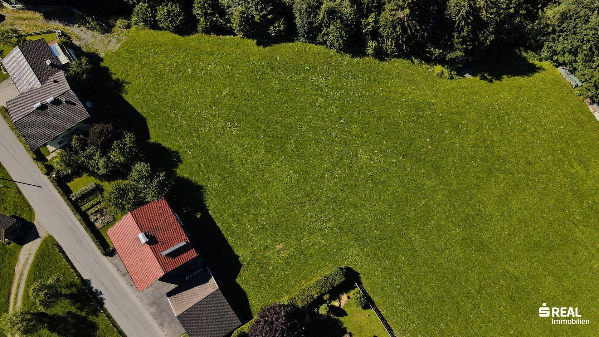 Luftaufnahme eines großen, grünen Grundstücks neben einer Straße und angrenzenden Häusern.