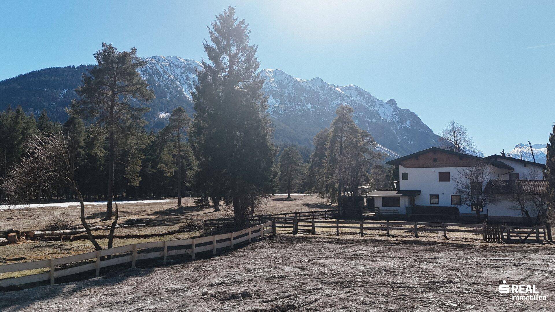 Das Grundstück mit Blick auf einen angrenzenden Wald und schneebedeckte Berge im Hintergrund unter strahlendem Sonnenschein.