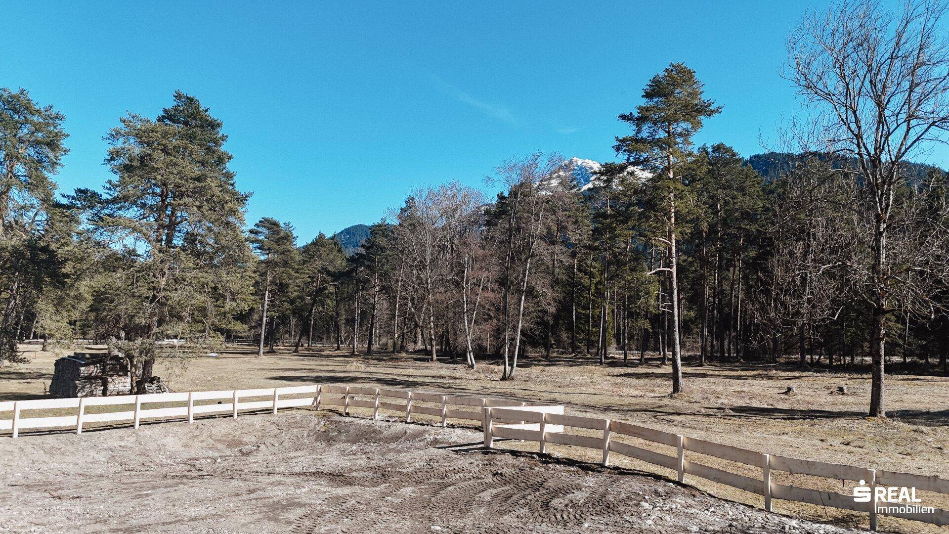 Ansicht des Grundstücks mit einer Holzumzäunung, die an einen dichten Wald grenzt, unter blauem Himmel.