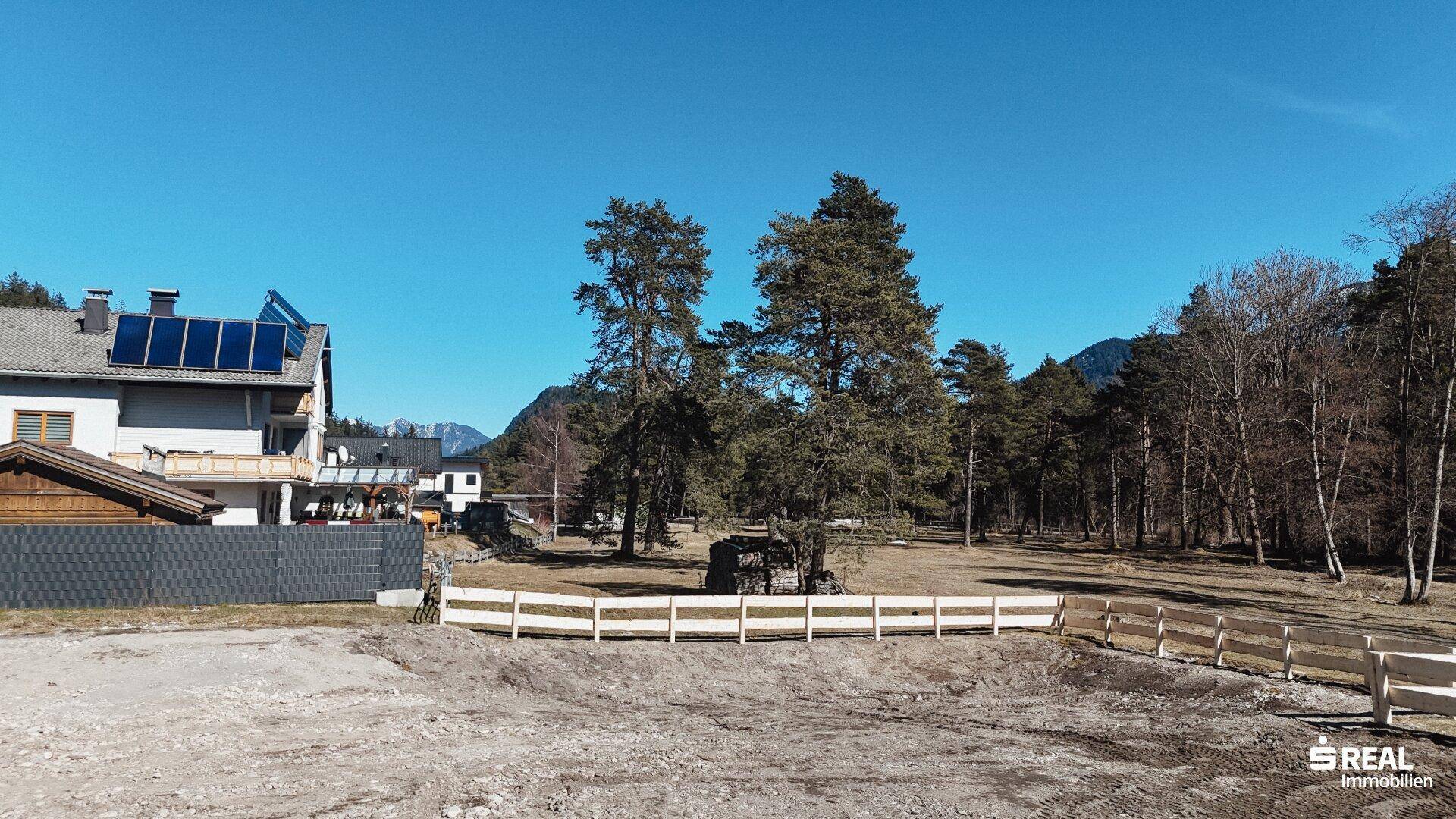 Das Grundstück mit Blick auf den Wald und ein nahegelegenes Haus mit Solaranlage auf dem Dach.