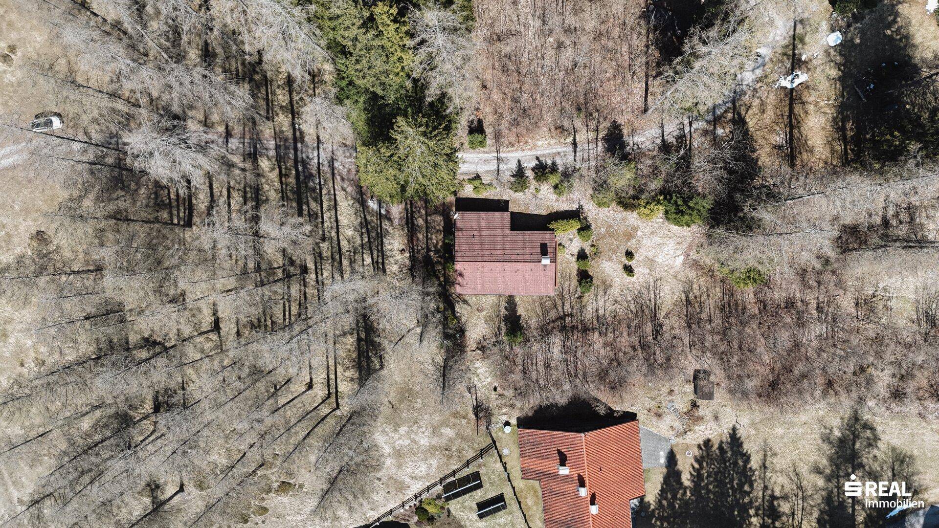 Luftaufnahme des Holzhauses in einer weitläufigen, bewaldeten Landschaft mit viel Grün.