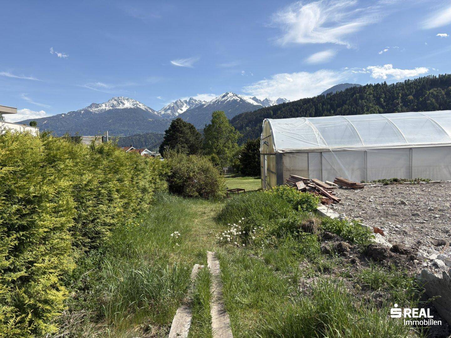 Verwildertes Grundstück mit einem Pfad und einem Gewächshaus, im Hintergrund sind Berge sichtbar.