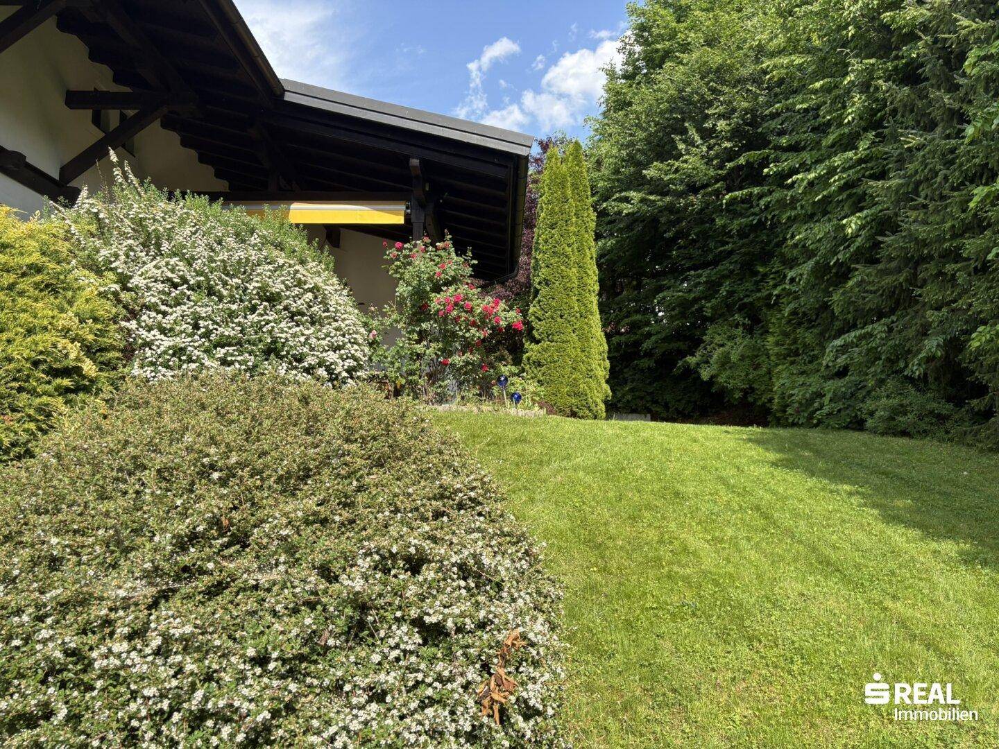 Grüner Gartenbereich mit hohen Bäumen und blühenden Sträuchern.