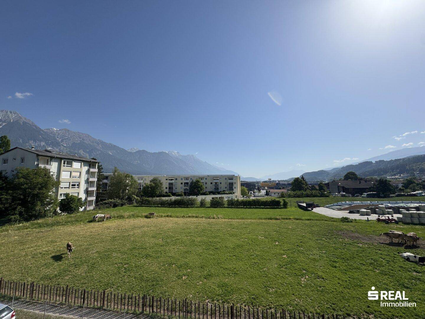 Weitläufiger Blick über grüne Felder mit Kühen und die beeindruckende Berglandschaft unter blauem Himmel.