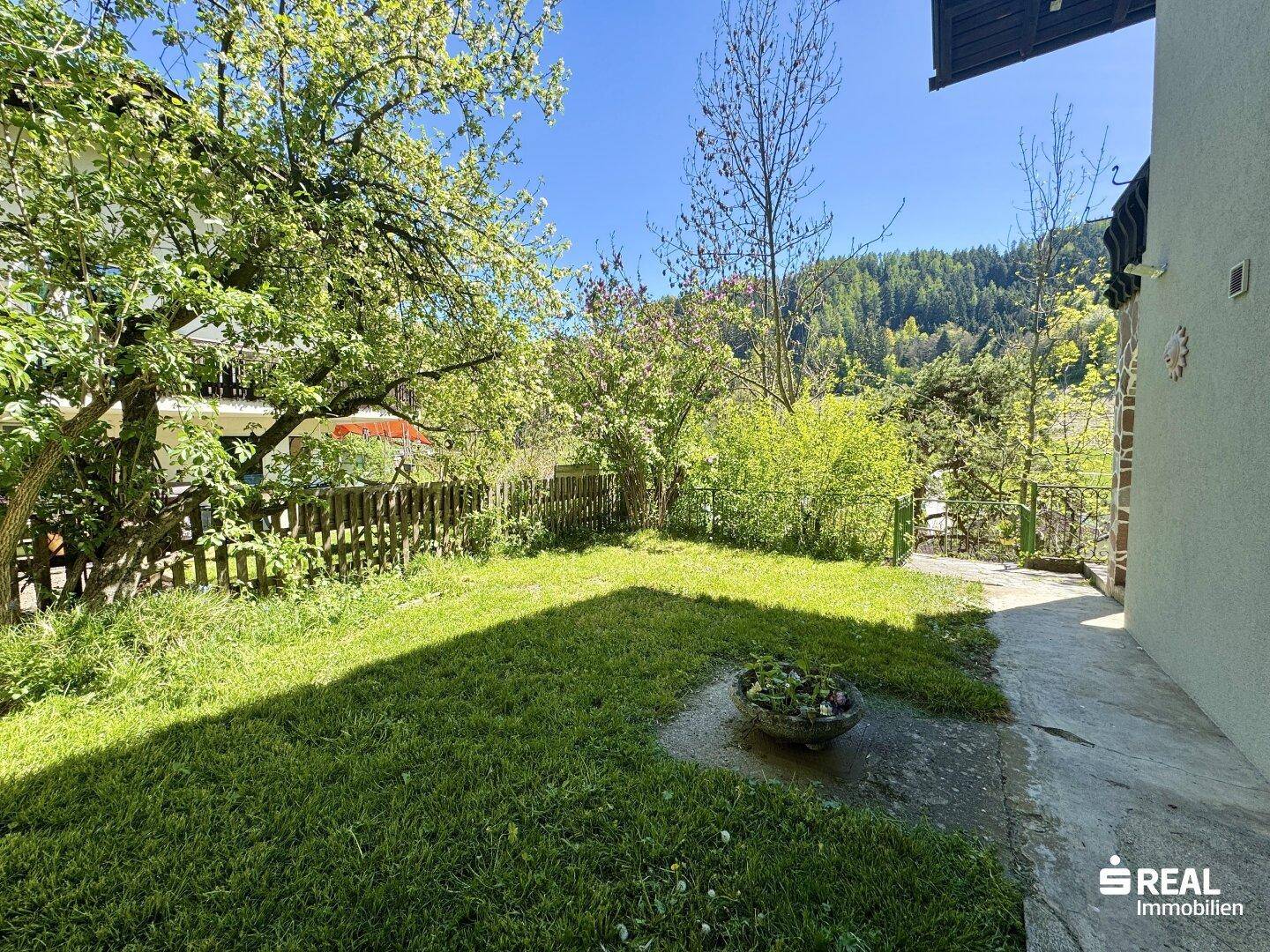 Gepflegter Rasenbereich im Garten mit Bäumen und Sträuchern, ideal zum Entspannen.