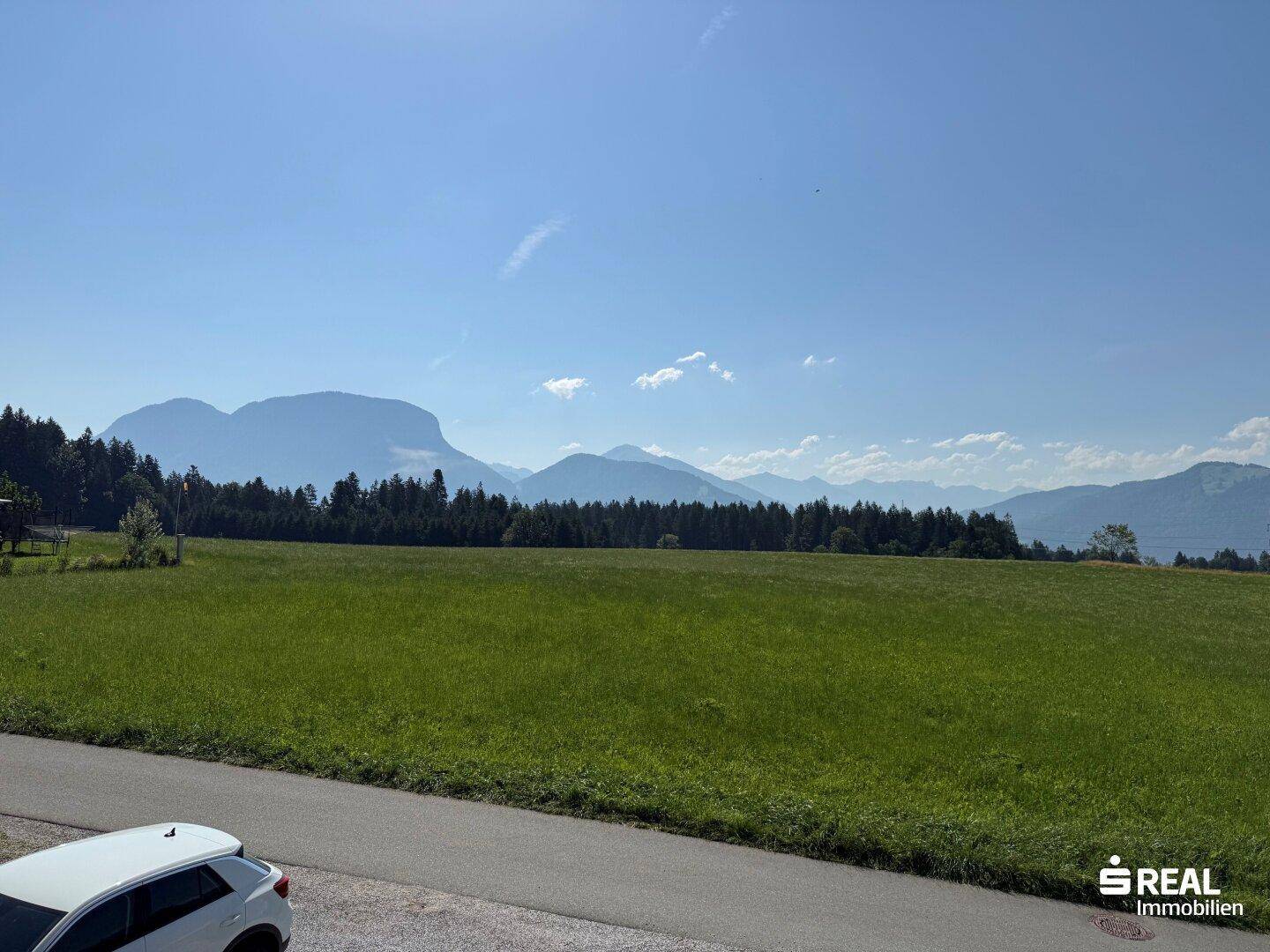 Weitläufige grüne Wiesenlandschaft mit majestätischen Bergen im Hintergrund unter klarem blauem Himmel.