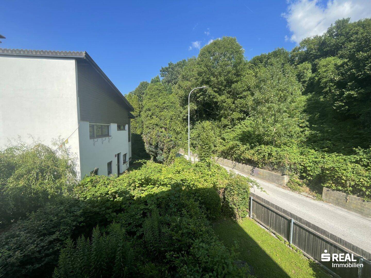 Blick von der Immobilie auf eine ruhige Straße und üppiges Grün.