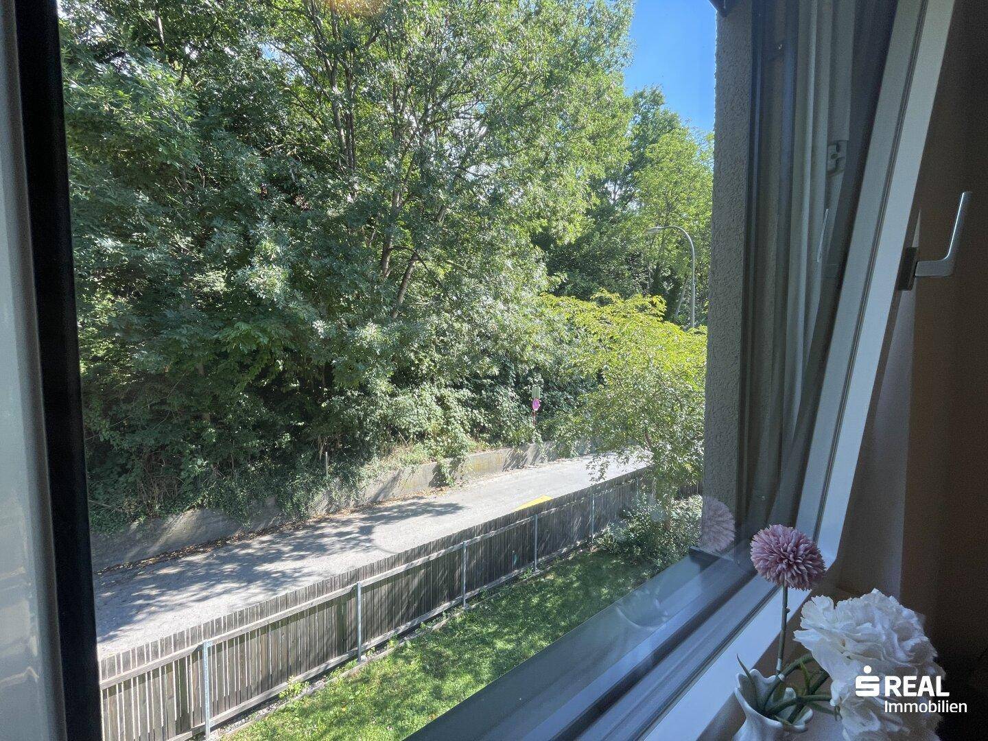 Blick aus dem Fenster auf eine grüne Umgebung und eine ruhige Straße.