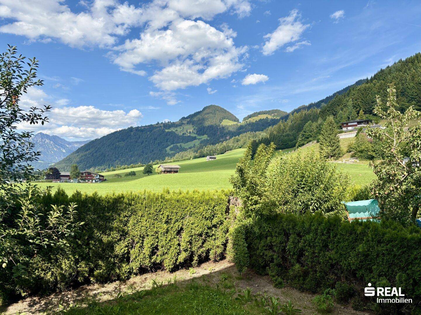 Malerischer Ausblick auf grüne Hügel und Berge, umgeben von üppiger Natur.