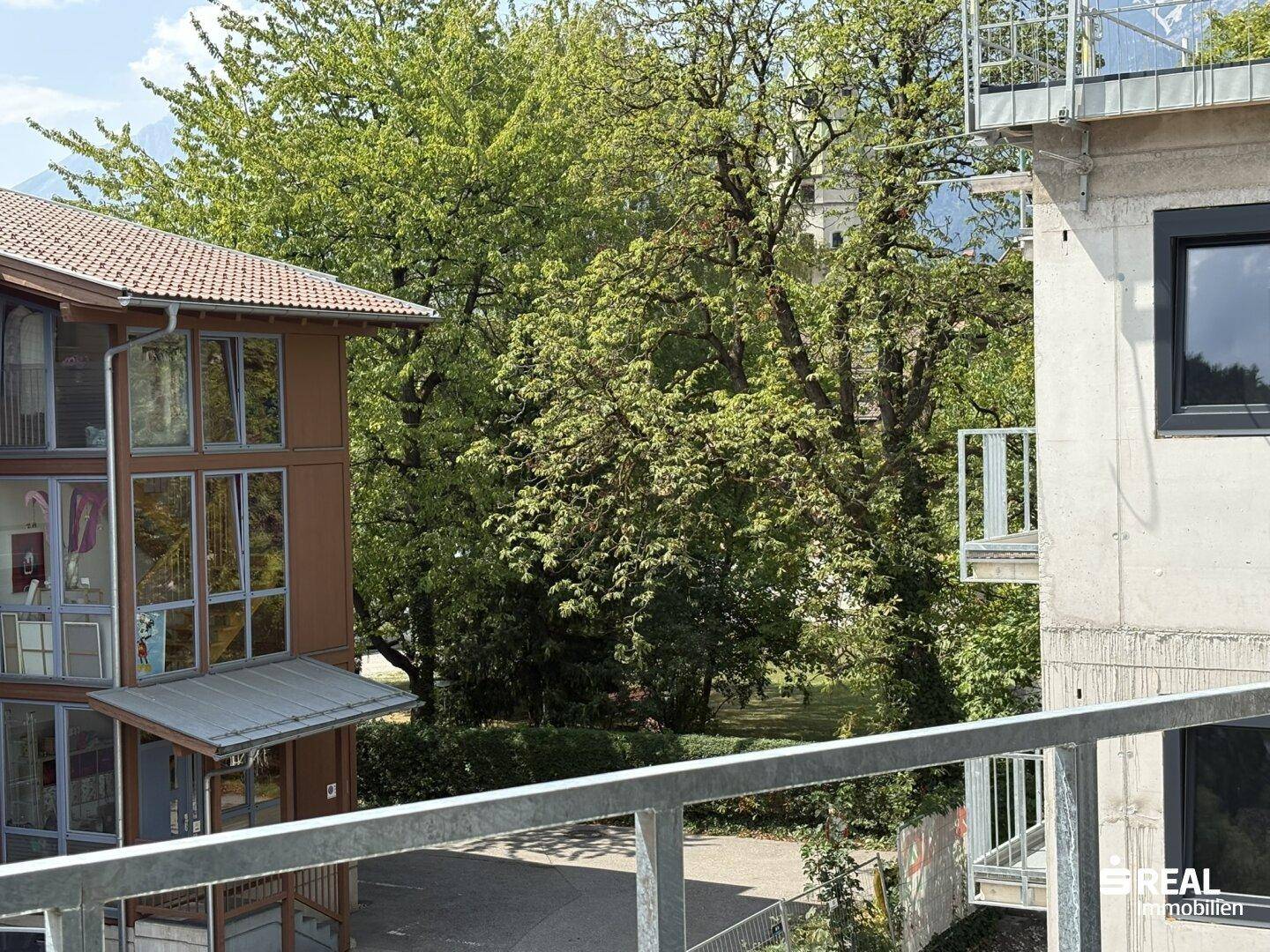Grüne Aussicht auf alte Bäume und die Nachbarschaft von der Immobilie aus.