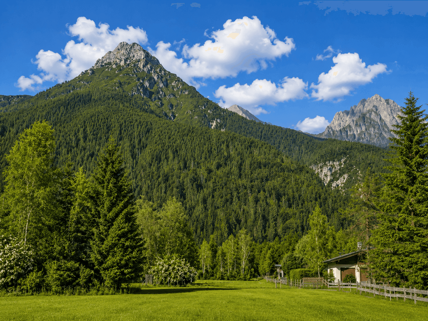 Weitläufige grüne Landschaft mit majestätischen Bergen und dichten Wäldern unter blauem Himmel.