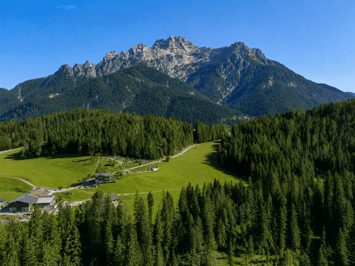 Panoramablick auf eine weitläufige grüne Landschaft mit Wäldern und majestätischen Bergen im Hintergrund.