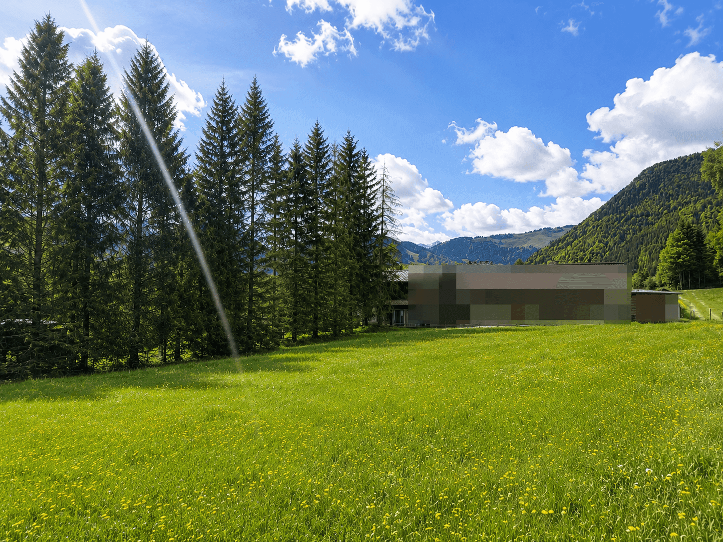 Weitläufige grüne Wiese mit Nadelbäumen und einem modernen Gebäude im Hintergrund unter blauem Himmel.