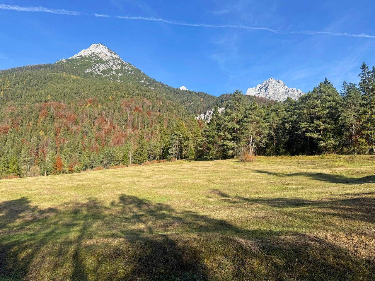 Weitläufige Wiesenlandschaft mit bewaldeten Bergen unter blauem Himmel.