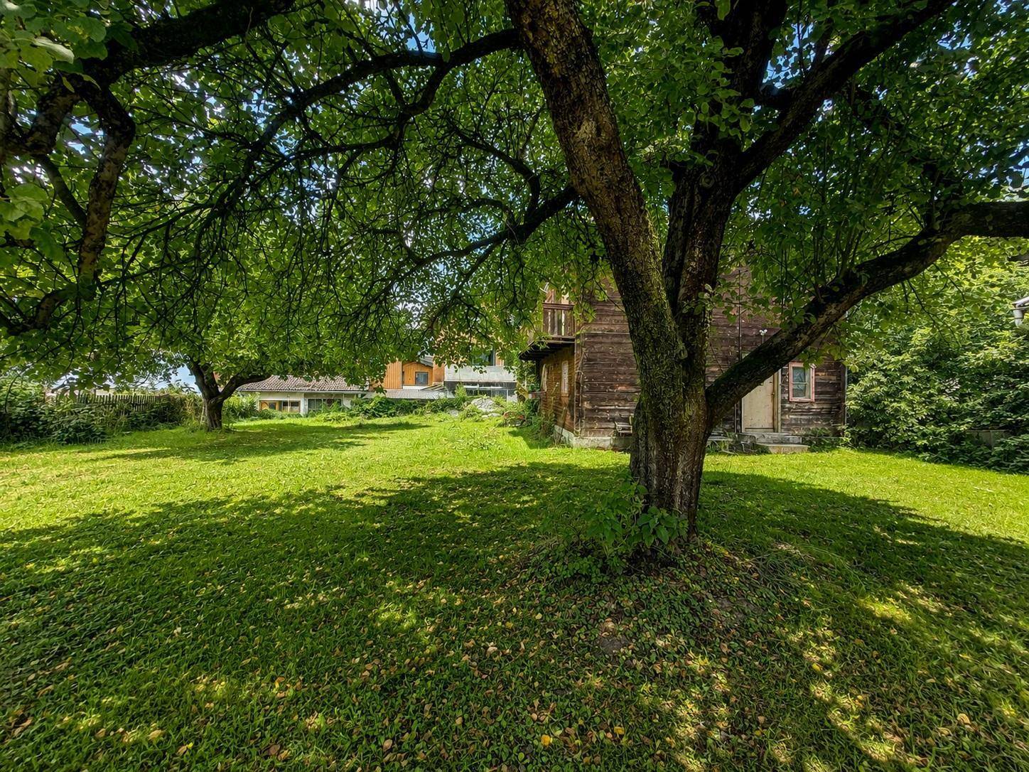 Sonniger Garten mit großen Bäumen, die natürlichen Schatten spenden, und dem rustikalen Holzhaus.