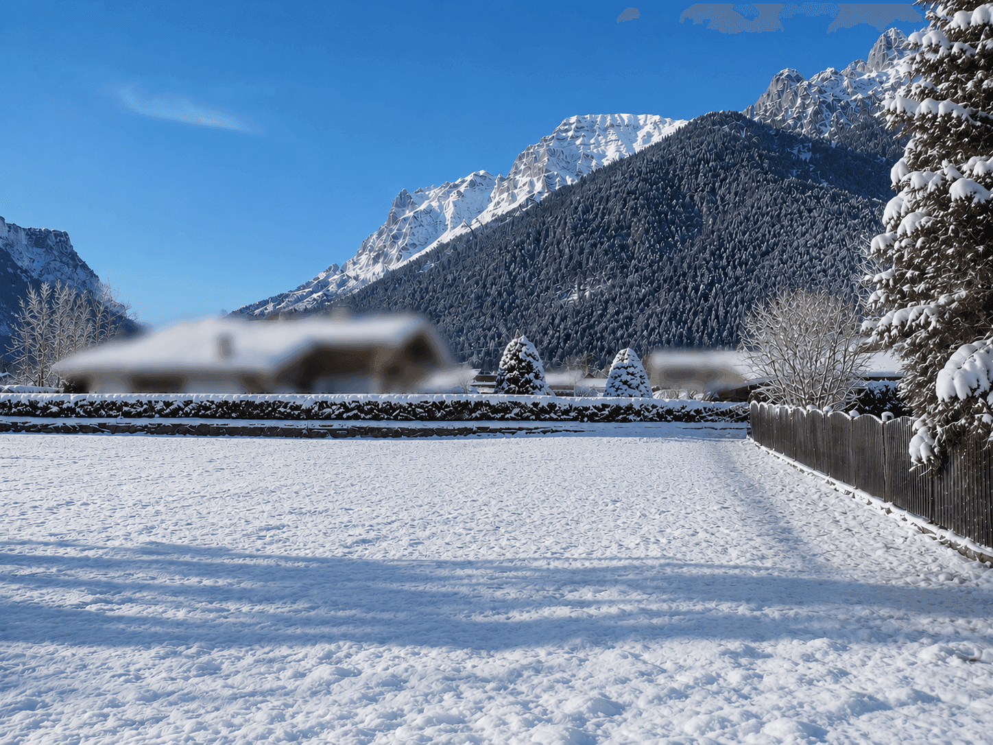 Winterlandschaft mit schneebedeckter Wiese, Hecke und imposanten schneebedeckten Bergen im Hintergrund.