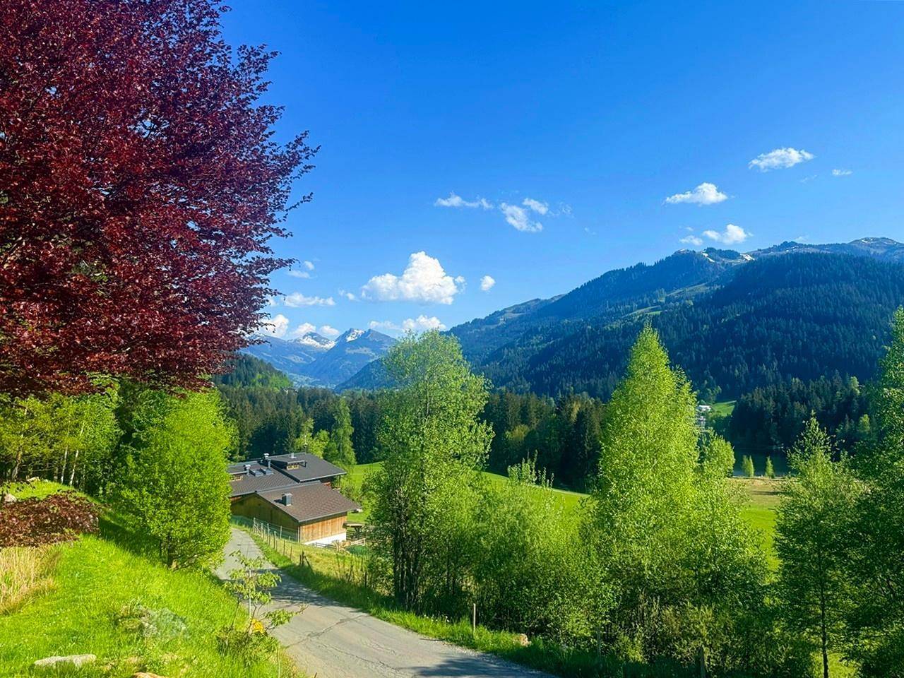 Weitläufige grüne Landschaft mit Wäldern und Bergen, ein Haus ist in der Ferne unter blauem Himmel sichtbar.